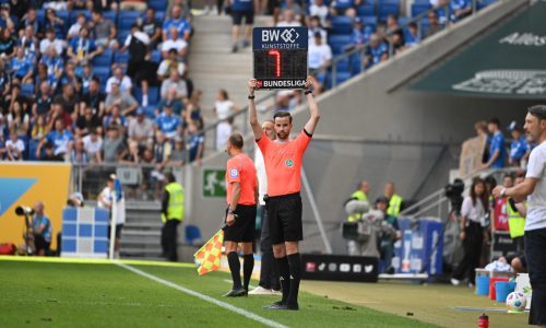 10.07.2022, PreZero-Arena, Sinsheim, GER, 1.FBL, TSG 1899 Hoffenheim vs VfL Wolfsburg , 
DFL  regulations prohibit any use of photographs as image sequences and/or quasi-video.
im Bild