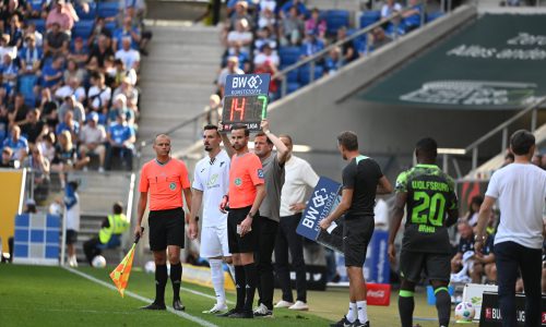 10.07.2022, PreZero-Arena, Sinsheim, GER, 1.FBL, TSG 1899 Hoffenheim vs VfL Wolfsburg , 
DFL  regulations prohibit any use of photographs as image sequences and/or quasi-video.
im Bild